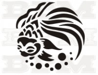 /album/fotogaleria-ryby/ryby-21-jpg/